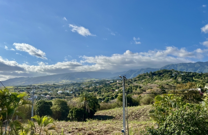 SAINT LOUIS 97450 - ENSEMBLE IMMOBILIER - REVENU LOCATIF - PROCHE COMMODITÉS - QUARTIER RÉSIDENTIEL