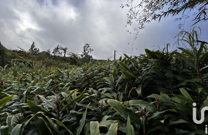 Vente Terrain 7682m&sup2; Plaine des Palmistes