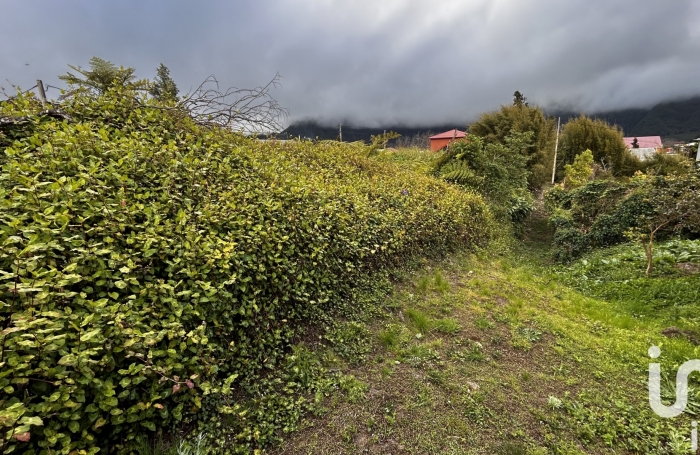 Vente Terrain 7682m&sup2; Plaine des Palmistes