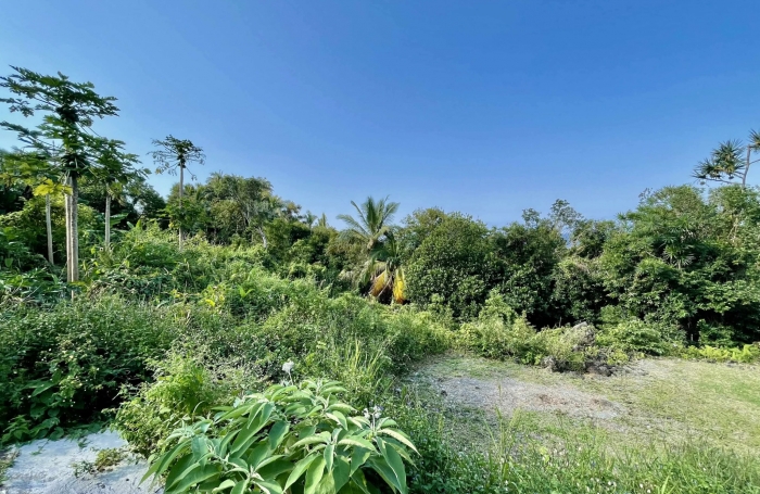 SAINT PHILIPPE 97442 - TERRAIN AVEC VUE DEGAGEE - SECTEUR CALME