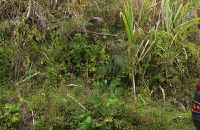 Vente Terrain 641m&sup2; Sainte Marie