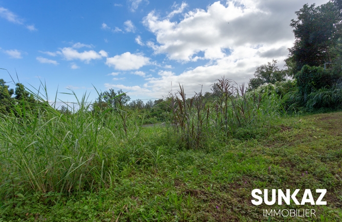 Vente Terrain 843m² Le Tampon