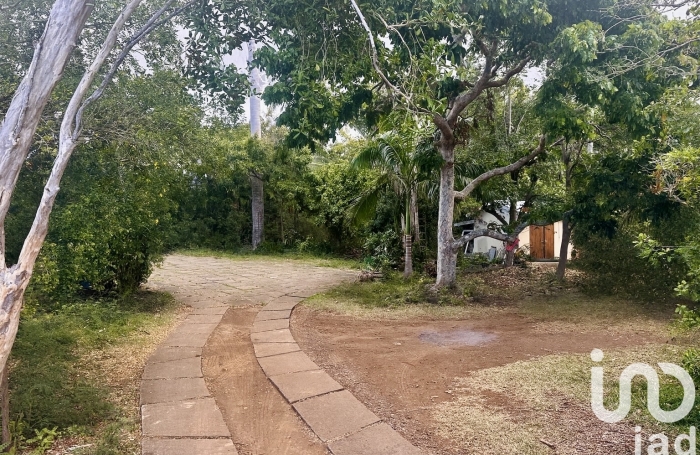 Vente Terrain 97438