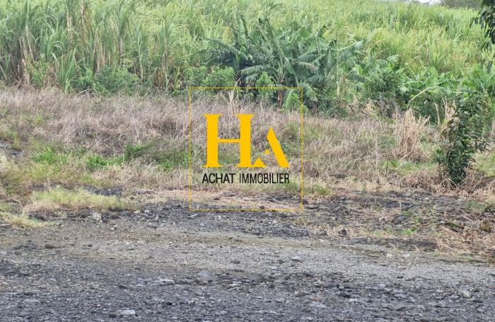 Vente Terrain 512m² Sainte Rose