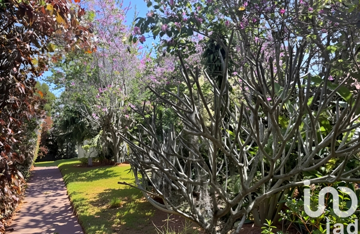 Vente Appartement 77m&sup2; 5 pi&#232;ces Le Tampon