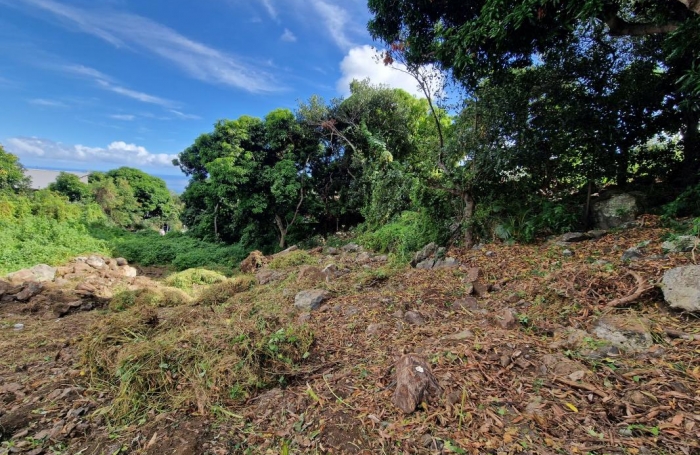 Vente Terrain 405m&sup2; Bois de Nefles St Paul