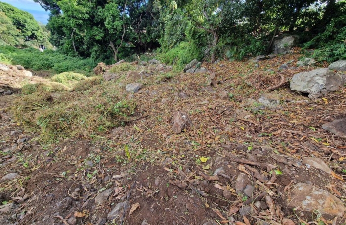 Vente Terrain 405m&sup2; Bois de Nefles St Paul