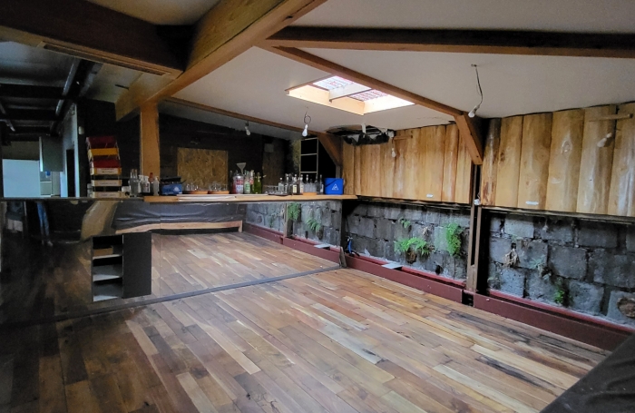 Lot de 2 biens maison plus local commerce à La Plaine des Palmistes