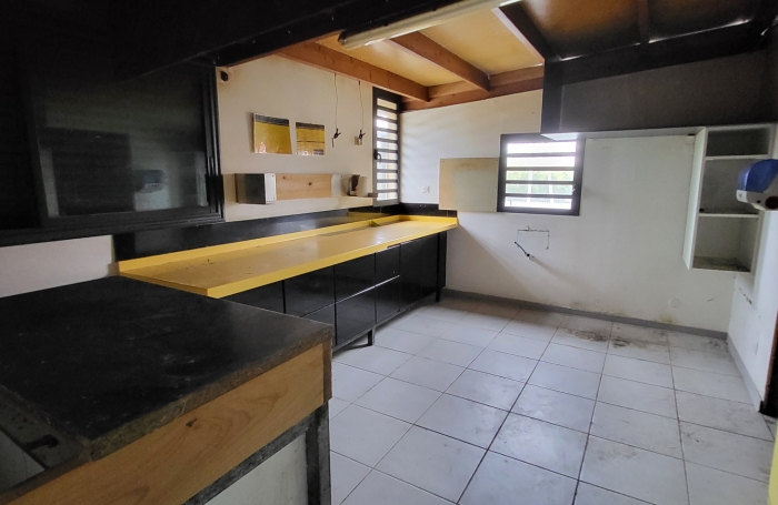 Lot de 2 biens maison plus local commerce à La Plaine des Palmistes