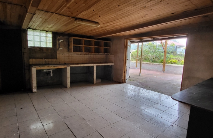 Lot de 2 biens maison plus local commerce à La Plaine des Palmistes