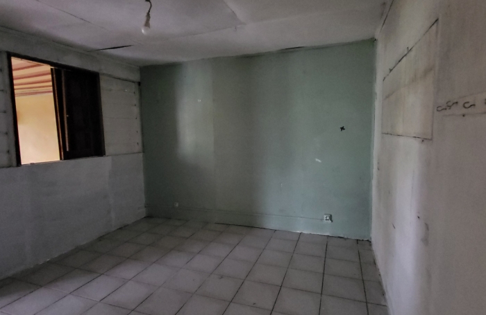 Lot de 2 biens maison plus local commerce à La Plaine des Palmistes