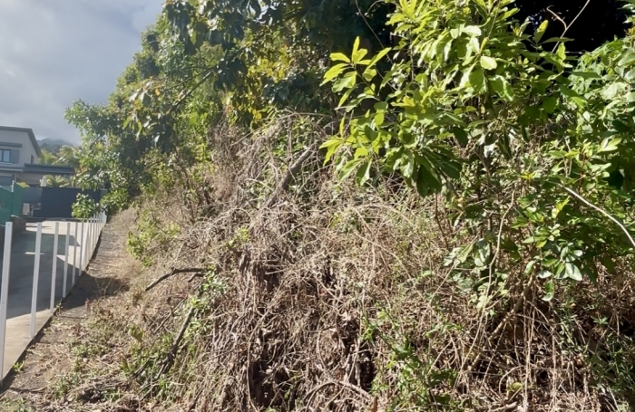 Vente Terrain 1078m&sup2; L'Entre Deux