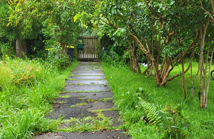 Terrain bâti sur La Plaine des Palmistes