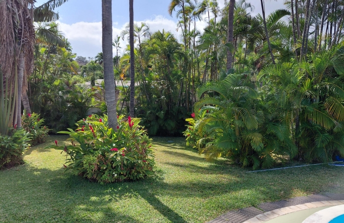 ST GILLES LES BAINS Grand fond