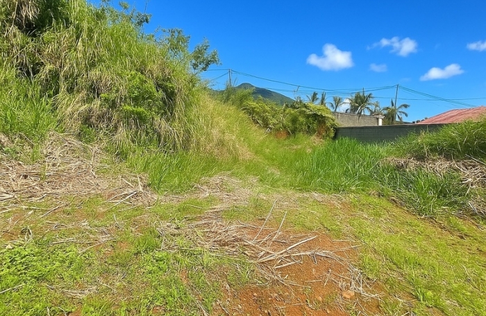 Vente Terrain 97421