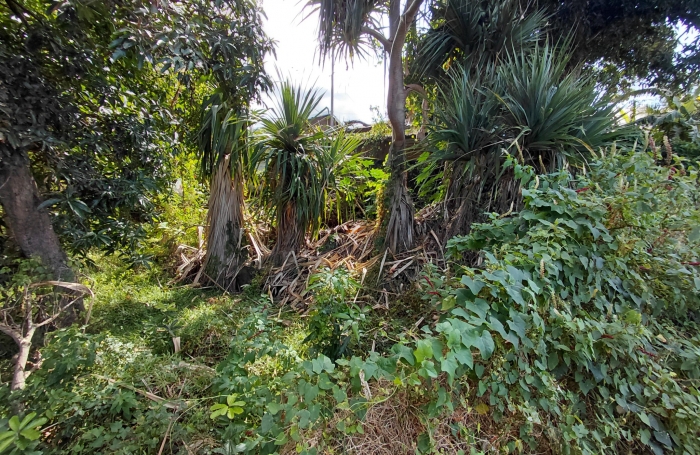 SAINT JOSEPH CENTRE VILLE PARCELLE DE 1000M2