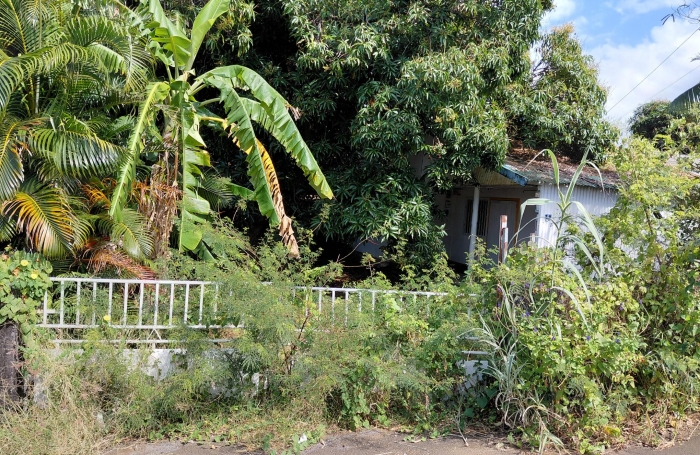 SAINT JOSEPH CENTRE VILLE PARCELLE DE 1000M2