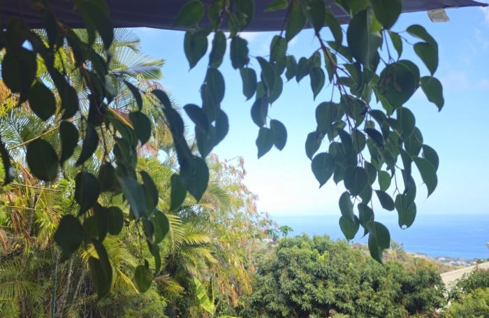 Vente Maison 115m&sup2; 5 pièces Saint Paul