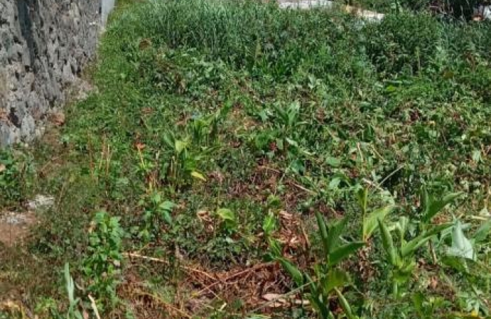 Vente Terrain 700m&sup2; Sainte Clotilde