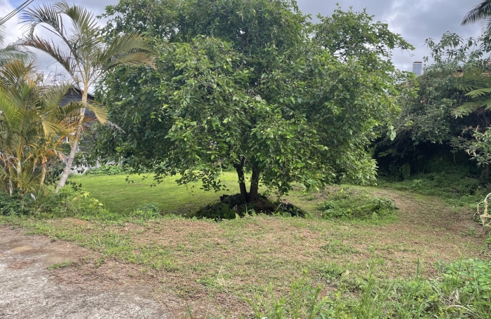 Terrain plat, 495 m2 à Bérive