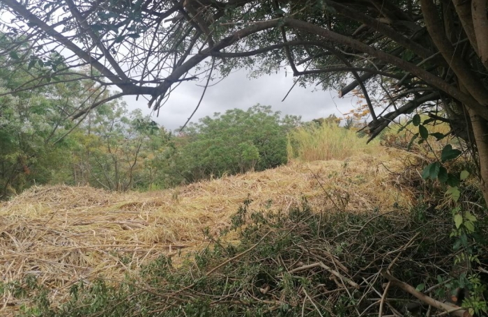 Vente Terrain 786m&sup2; Saint Gilles Les Hauts