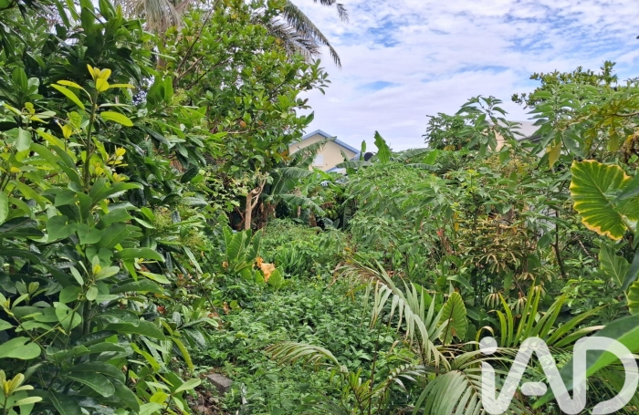 Vente Terrain 410m&sup2; Saint-Benoît