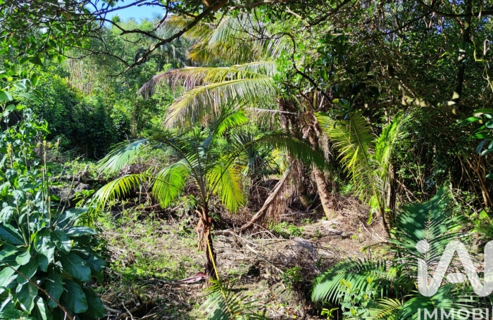 Vente Terrain 439m&sup2; Saint Philippe