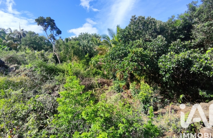 Vente Terrain 439m&sup2; Saint Philippe