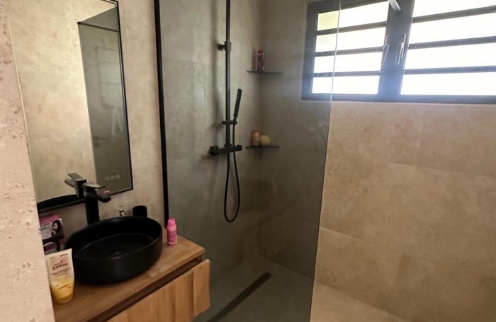 Vente Divers 140m&sup2; 4 pi&#232;ces Saint-Pierre