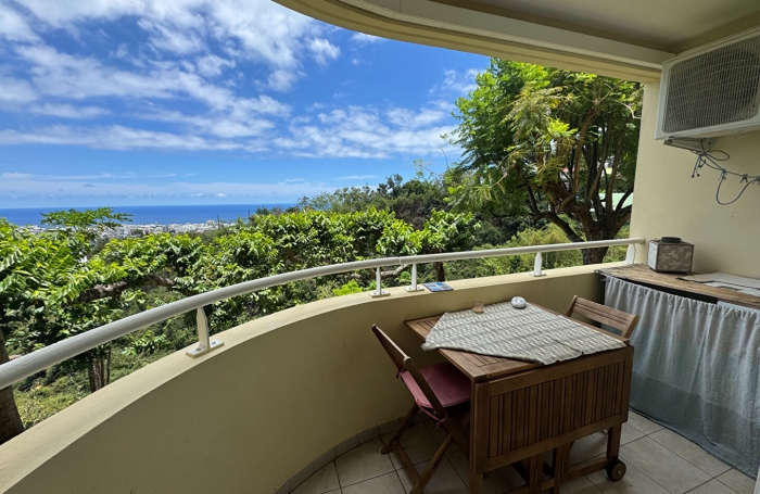 Vente Appartement 24.64m² 1 pièce Saint Denis