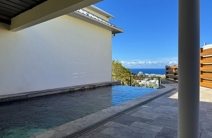 Location Maison 305.12m² 8 pièces Saint Denis