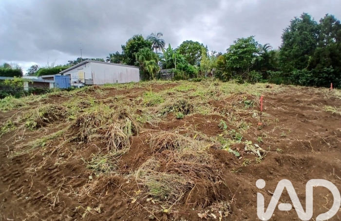 Vente Terrain 97460