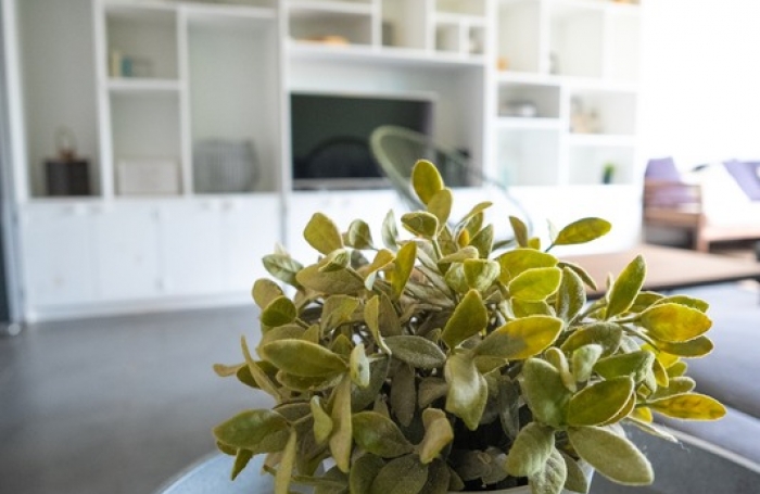 Location Appartement 55m&sup2; 2 pi&#232;ces Saint Denis