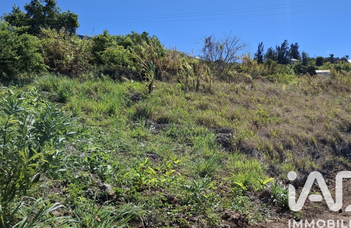 Vente Terrain 503m&sup2; Sainte Clotilde