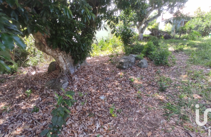 Vente Terrain 319m&sup2; Rivière Saint Louis