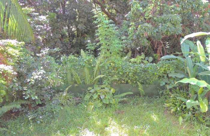 Location Appartement 85m&sup2; 4 pièces Sainte Clotilde