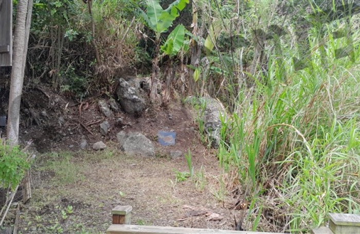 Location Maison 90m² 3 pièces Piton Saint Leu