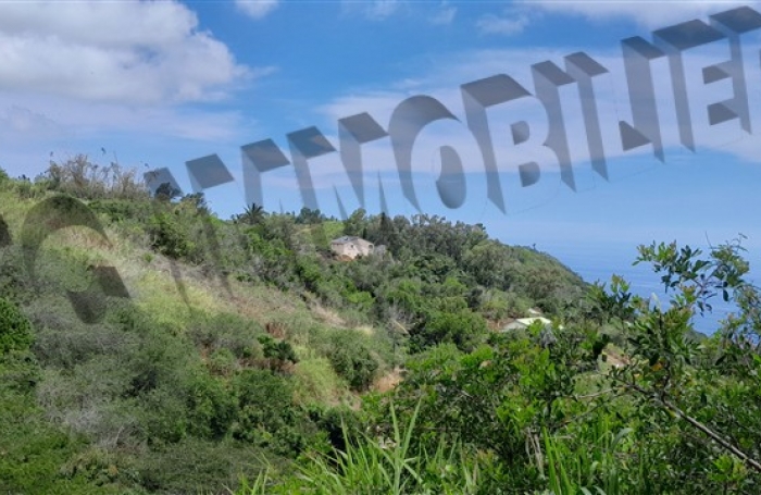 Location Maison 90m² 3 pièces Piton Saint Leu