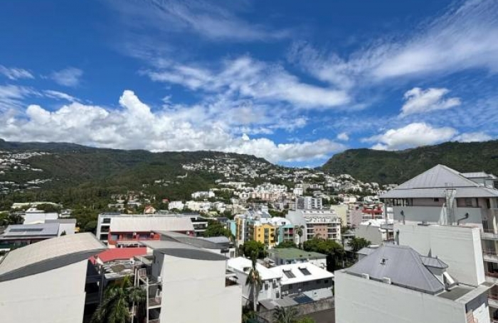 Vente Appartement 59m&sup2; 3 pièces Saint Denis