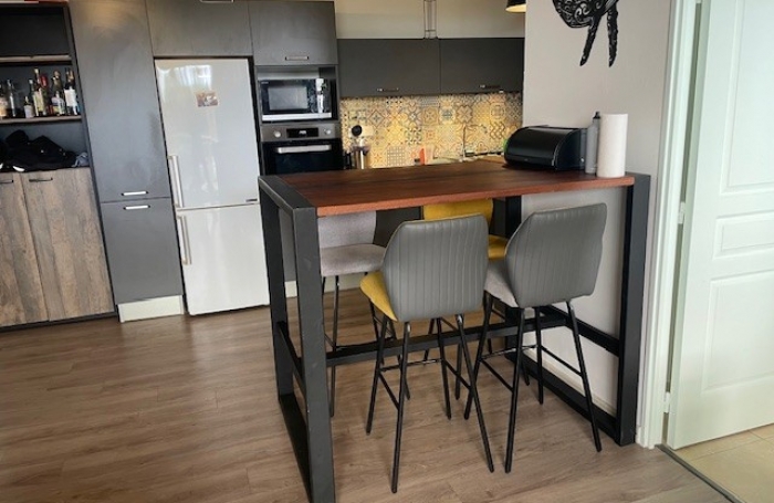 MAGNIFIQUE T3 MEUBLE SUR LES HAUTEURS DE BELLEPIERRE LIBRE 21 JANVIER