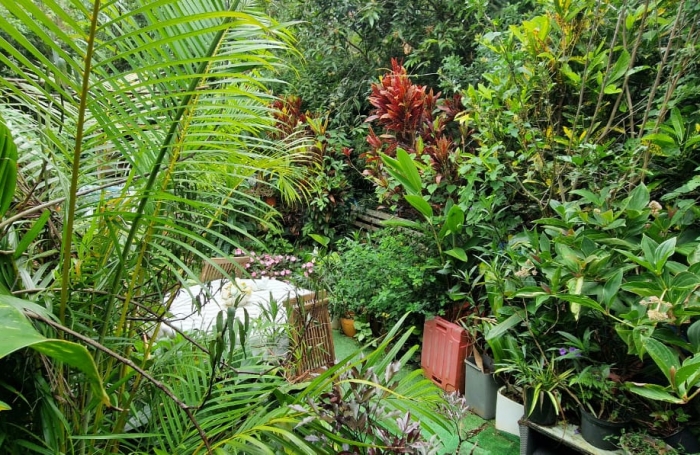 Villa F4 &agrave; vendre   Petite-&Icirc;le (97429) Prix de vente : 192 600 &euro; FAI