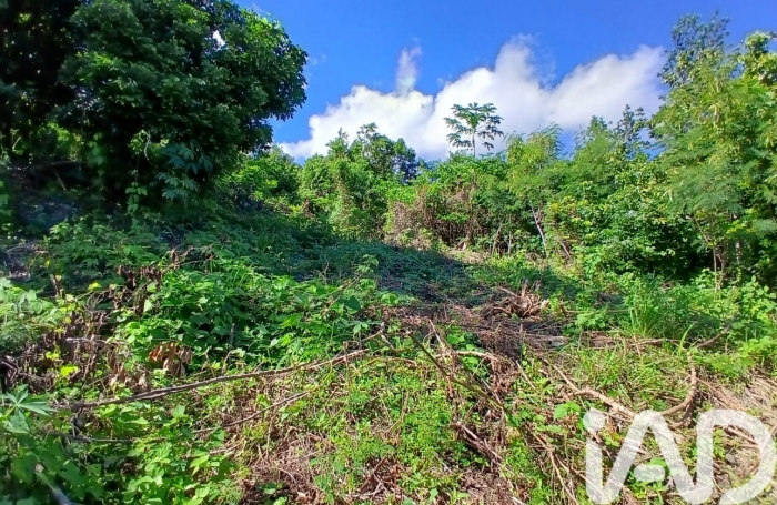 Vente Terrain 450m&sup2; Bois de Nefles St Paul