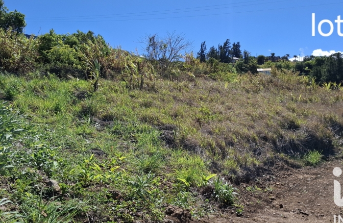 Vente Terrain 302m&sup2; Sainte Clotilde