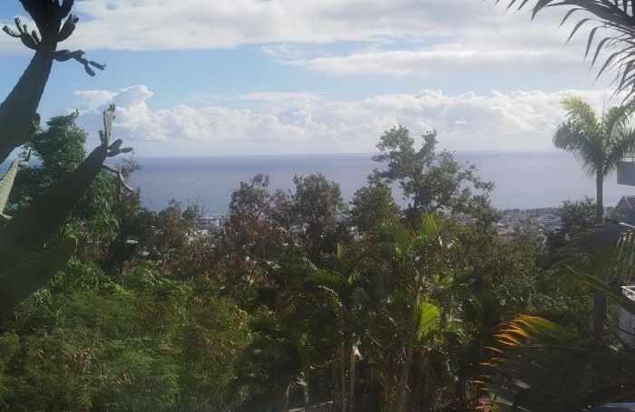 Location Appartement 34.5m&sup2; 1 pièce Sainte Clotilde