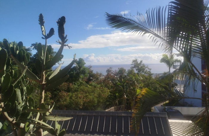 Location Appartement 34.5m&sup2; 1 pièce Sainte Clotilde