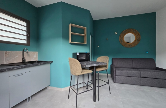 Location Appartement 97460