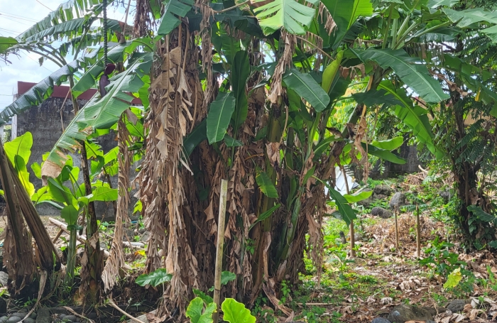 Terrain b&acirc;ti id&eacute;al pour un projet touristique