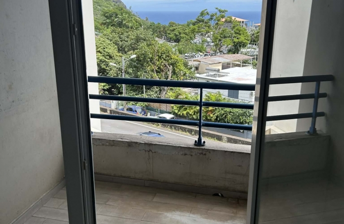 &Agrave; vendre &agrave; Saint-Denis : grand studio avec terrasse