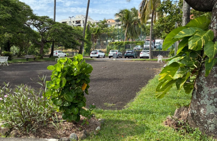 Location Appartement 