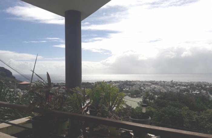 Grand T3 avec varangue et vue mer